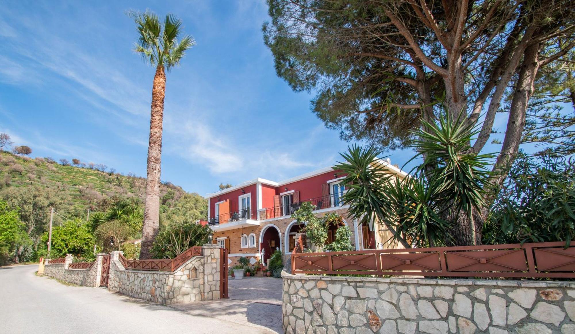 Araucaria * Tsilivi (Zakynthos)